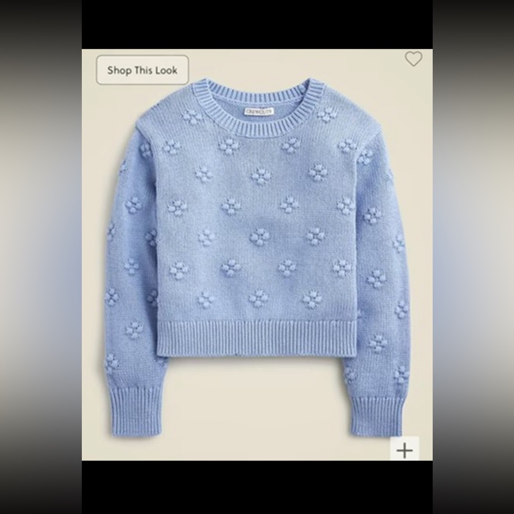 J.Crew Girls Sweater Large